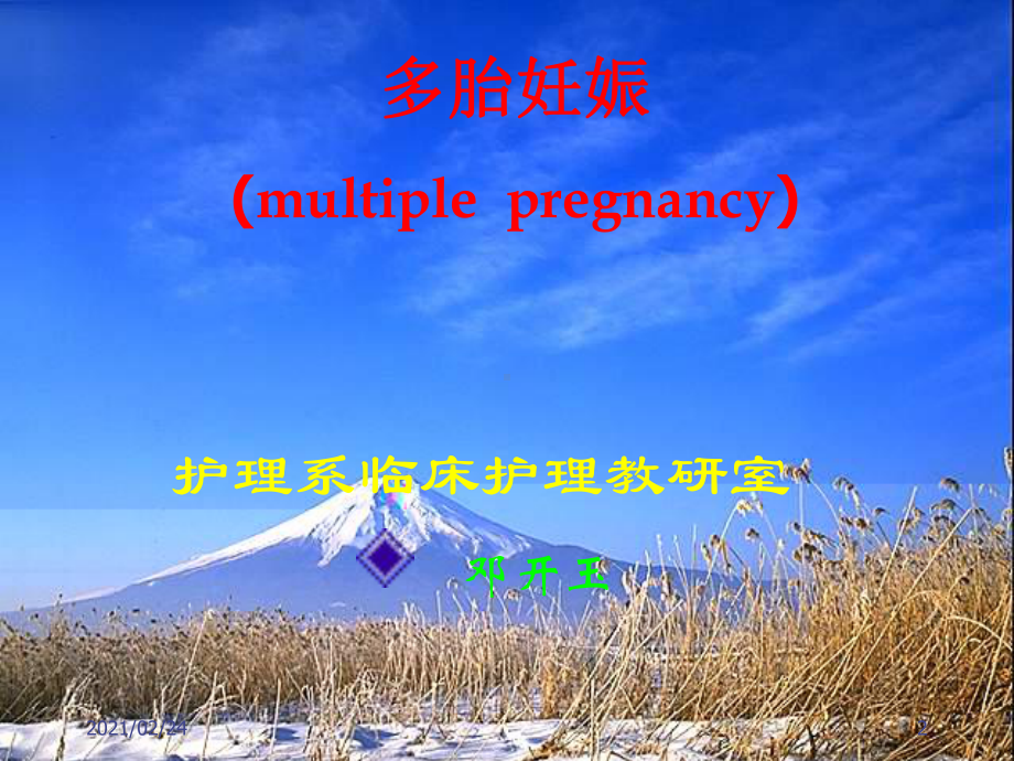 医药类多胎妊娠课件.ppt_第2页