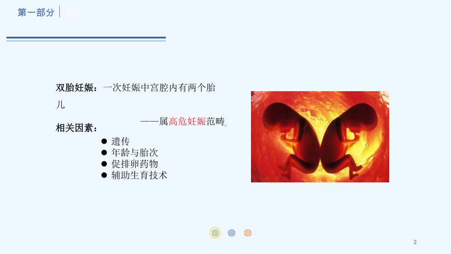 双胎妊娠副本课件.ppt_第2页