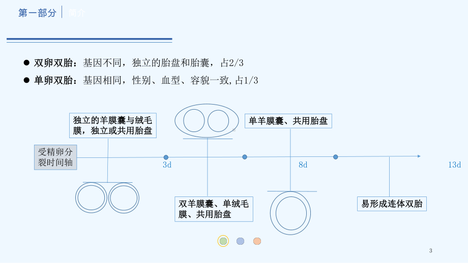 双胎妊娠副本课件.ppt_第3页