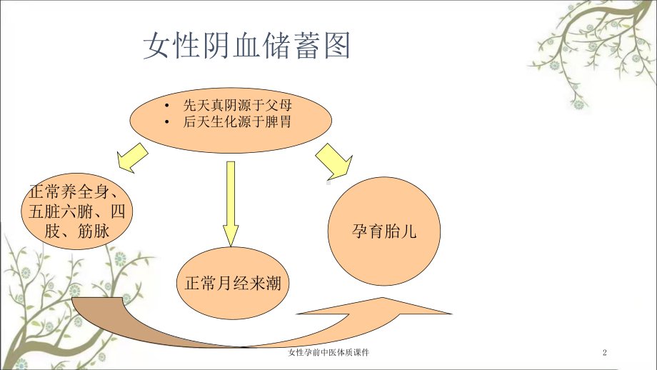 女性孕前中医体质课件.ppt_第2页