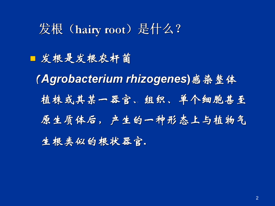 医学课件-发根农杆菌介导的植物基因转化教学课件.ppt_第2页