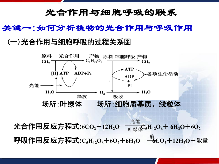 光合作用与细胞呼吸的关系-课件.pptx_第3页