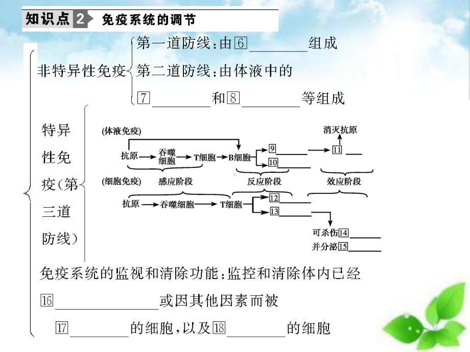 免疫调节课件52.ppt_第3页