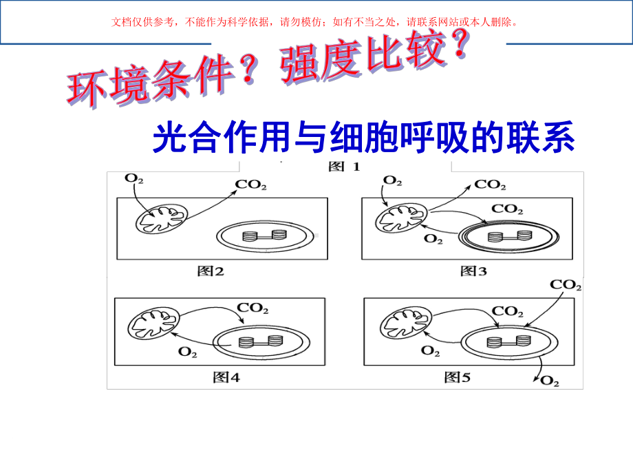 光合作用和细胞呼吸的关系课件.ppt_第3页