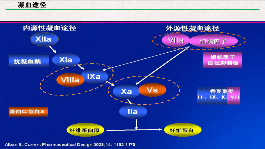 凝血系统的个体化用药探讨423完美版课件.pptx_第3页