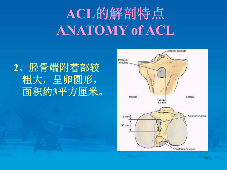 关节镜下前交叉韧带重建术参考课件.ppt_第3页