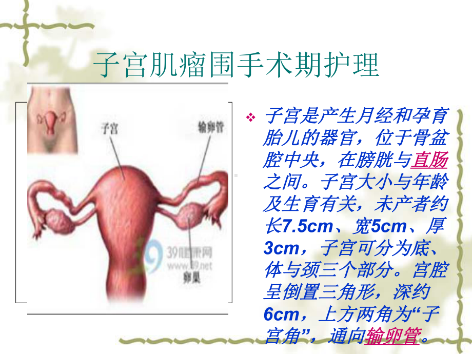 二子宫肌瘤围手术期护理课件.pptx_第3页