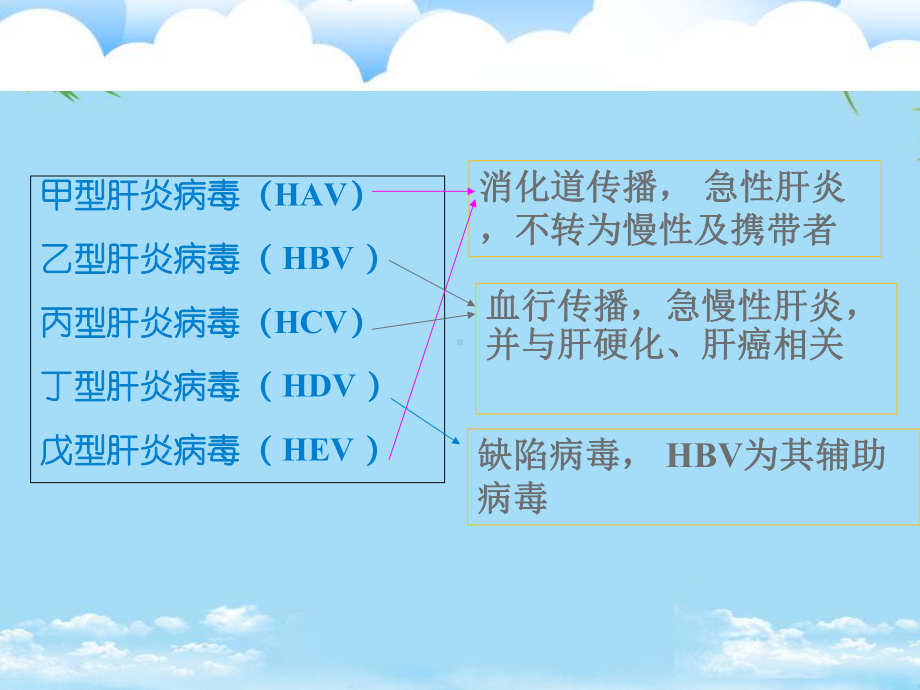 医学微生物肝炎病毒课件.ppt_第2页