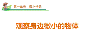 3《观察身边微小的物体》（ppt课件）-2022新教科版六年级上册《科学》.pptx