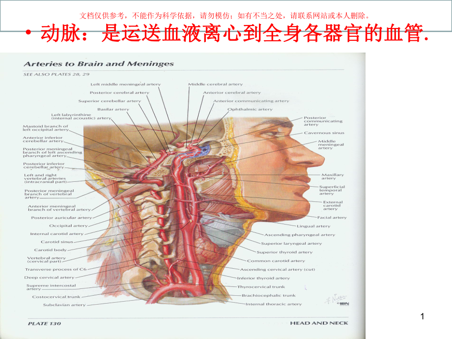 动脉医学知识讲座培训课件.ppt_第1页