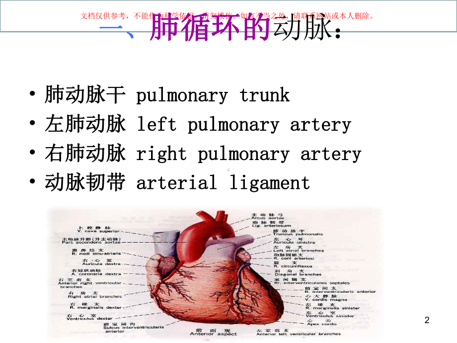 动脉医学知识讲座培训课件.ppt_第2页