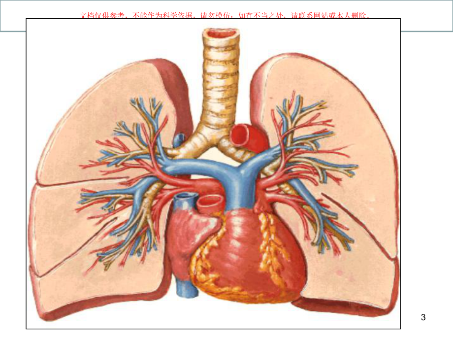动脉医学知识讲座培训课件.ppt_第3页