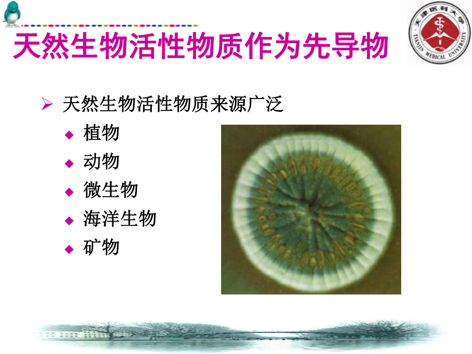 医学课件新药设计和开发的基本途径和方法先导化合物的发现.ppt_第3页