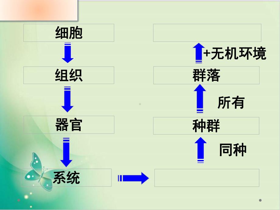 人教教材《生态系统的结构》1课件.pptx_第1页