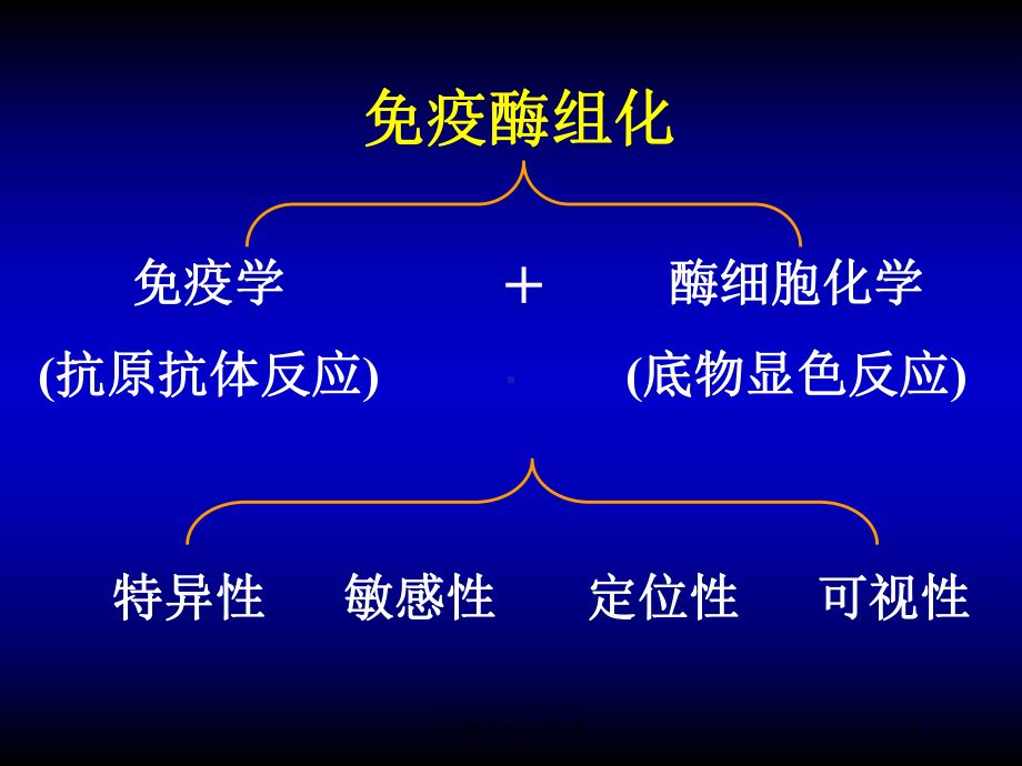 免疫酶组织化学技术培训课件.ppt_第3页