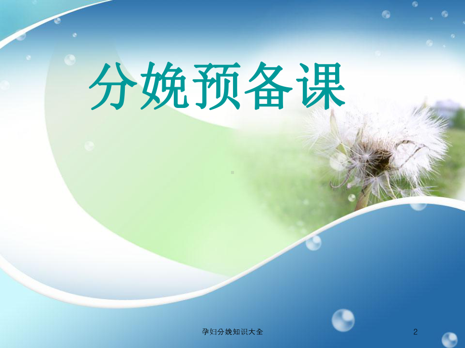 孕妇分娩知识大全培训课件.ppt_第2页