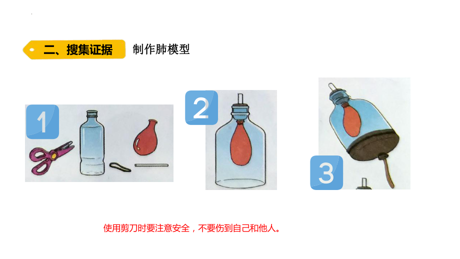 4.3 肺是怎样呼吸的 ppt课件-2022新大象版四年级上册《科学》.pptx_第3页