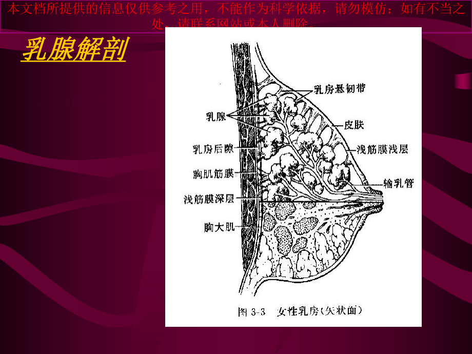 乳腺影像学诊疗培训课件.ppt_第2页