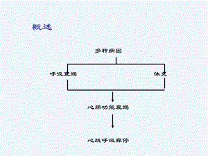 儿科高级生命支持祝益民课件.ppt