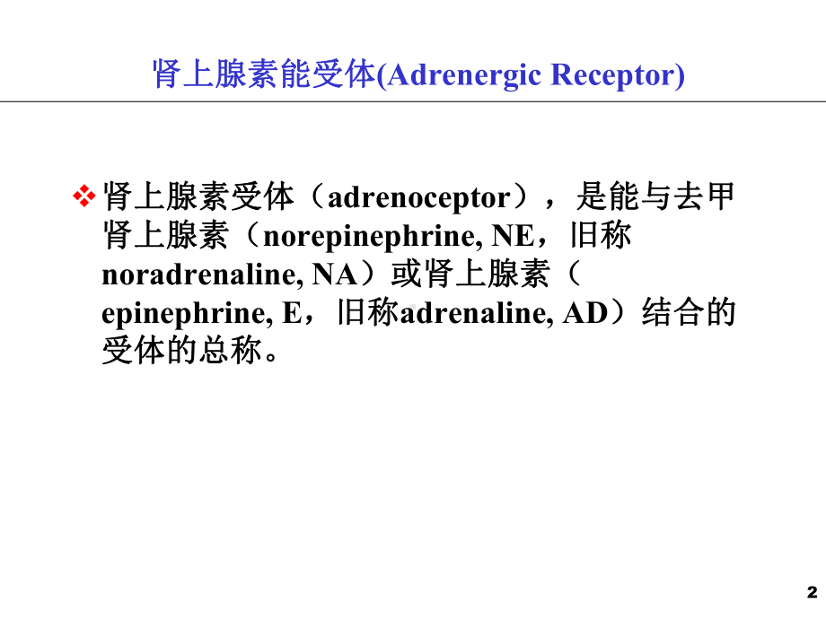 十二肾上腺素能药物课件.pptx_第2页