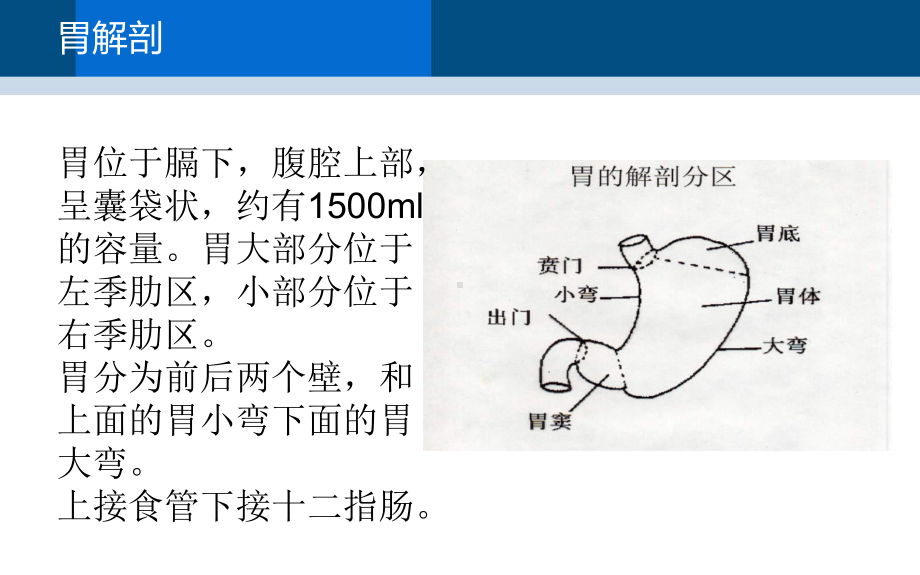 医学课件胃癌根治术手术配合.ppt_第2页