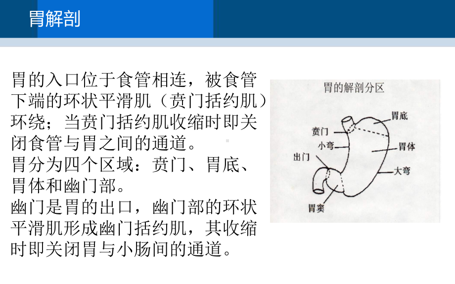 医学课件胃癌根治术手术配合.ppt_第3页