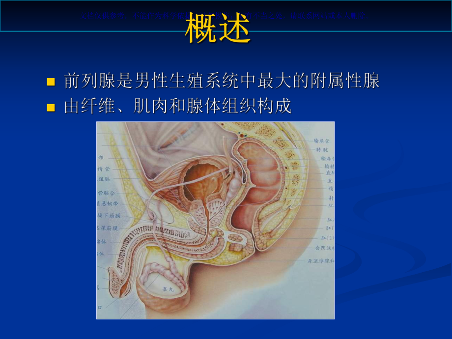 前列腺的MR检查课件.ppt_第1页