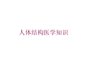 人体结构医学知识培训课件.ppt