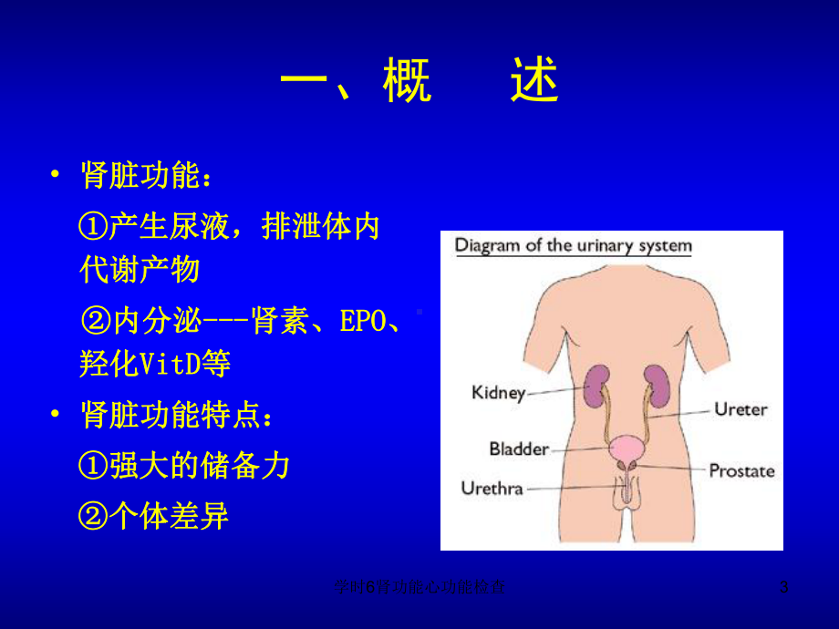 学时6肾功能心功能检查课件.ppt_第3页