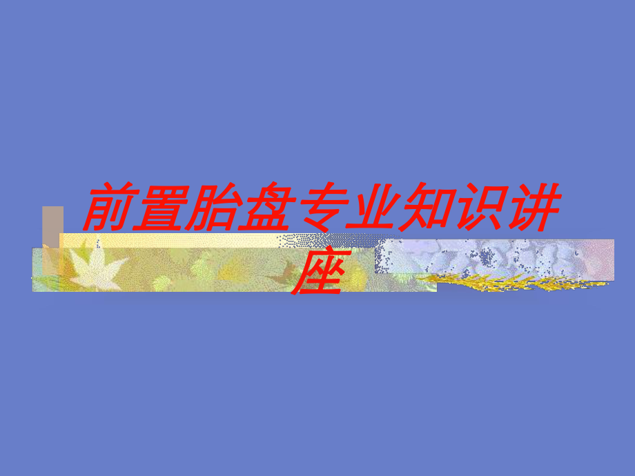 前置胎盘专业知识讲座培训课件.ppt_第1页