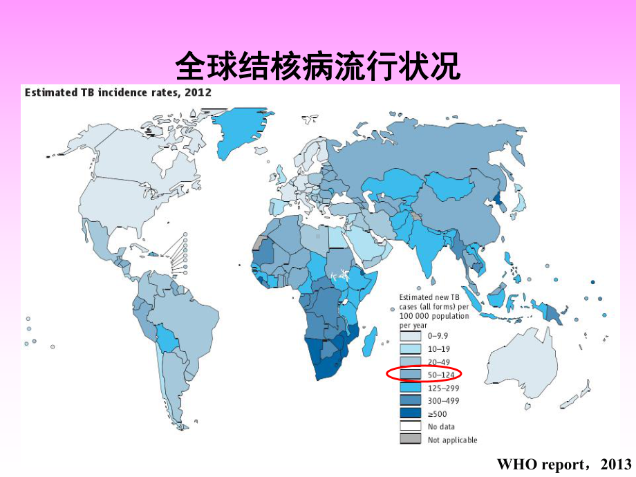 分子诊断技术在结核病诊治中应用课件.ppt_第2页