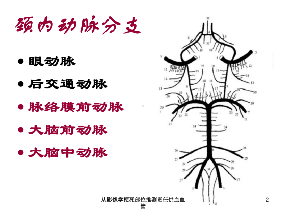 从影像学梗死部位推测责任供血血管培训课件.ppt_第2页