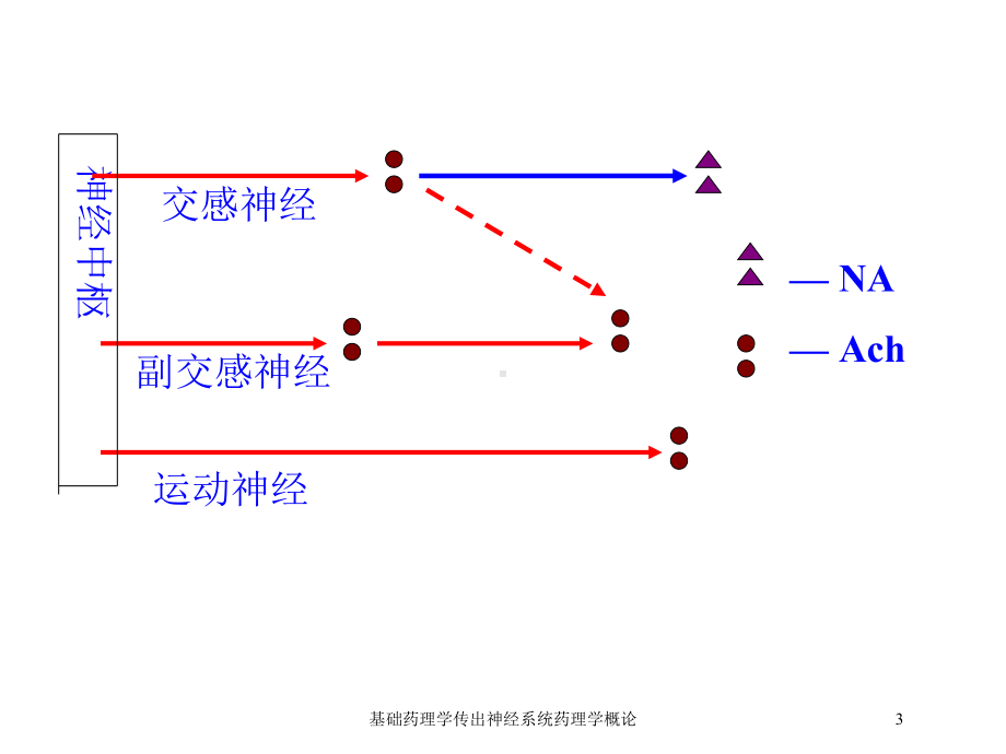 基础药理学传出神经系统药理学概论培训课件.ppt_第3页