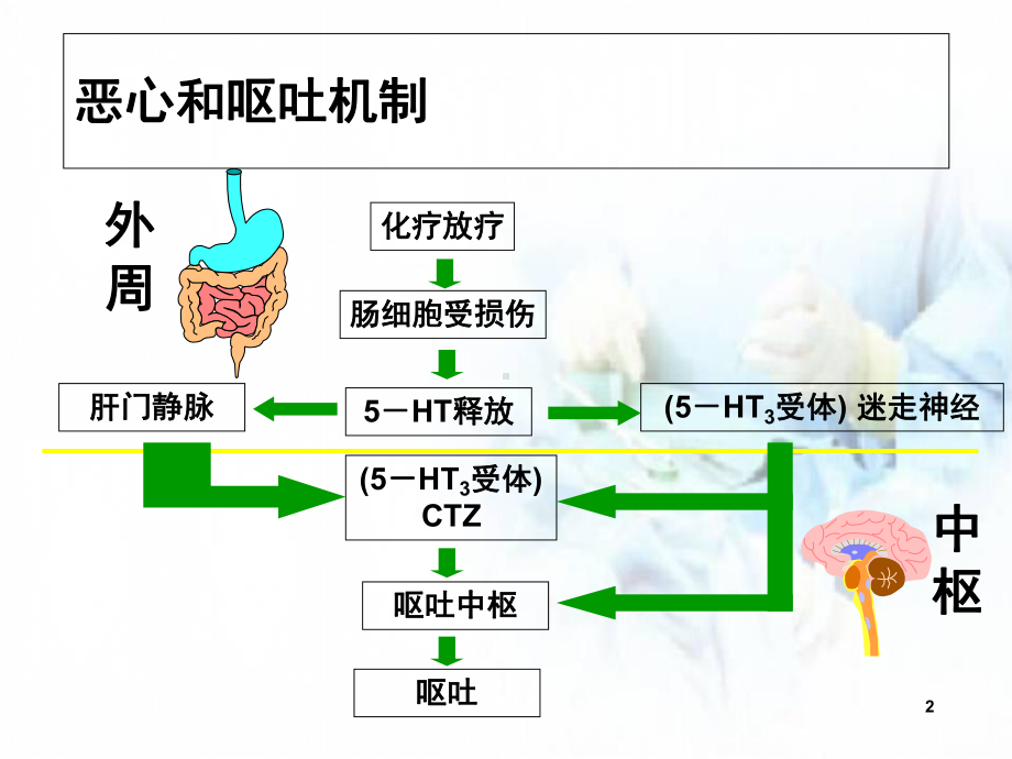 医学课件-NCCN化疗止吐指南课件.ppt_第2页