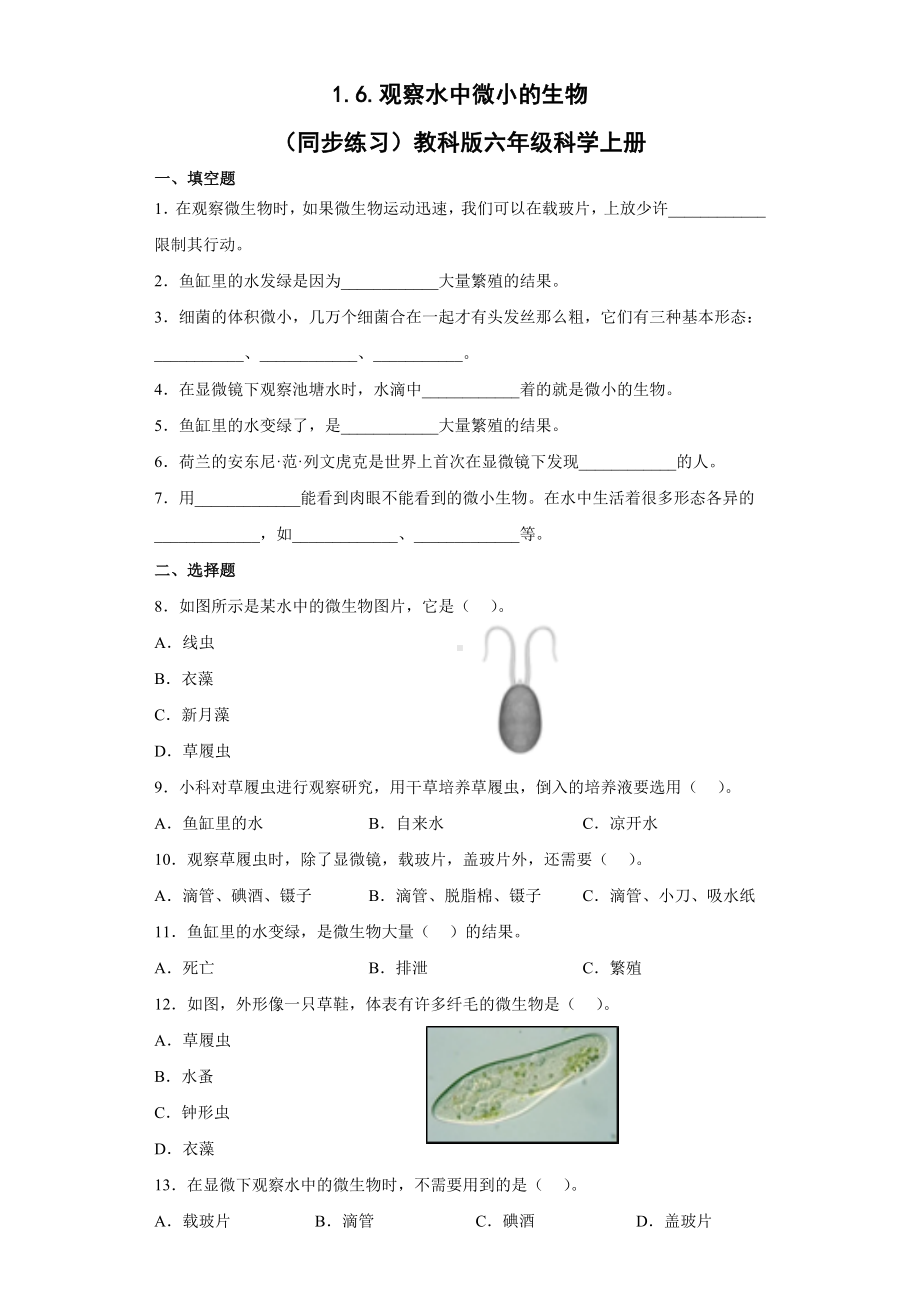 1.6.观察水中微小的生物（同步练习）-2022新教科版六年级上册《科学》.docx_第1页