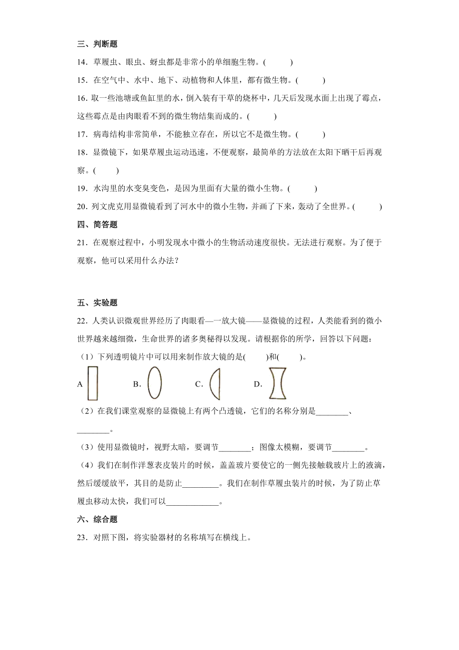 1.6.观察水中微小的生物（同步练习）-2022新教科版六年级上册《科学》.docx_第2页