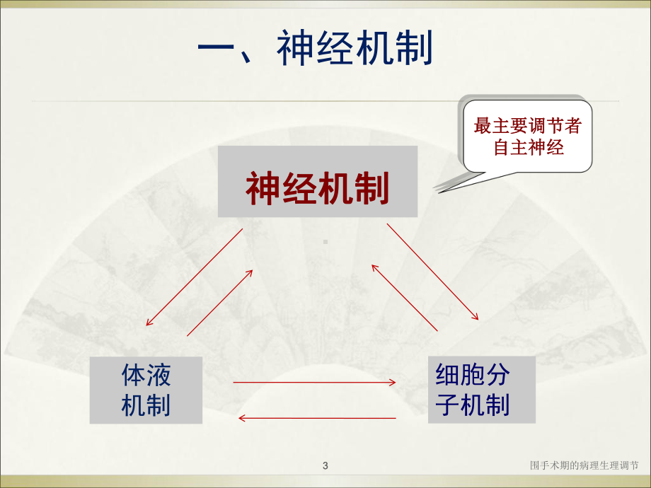 围手术期的病理生理调节课件.ppt_第3页