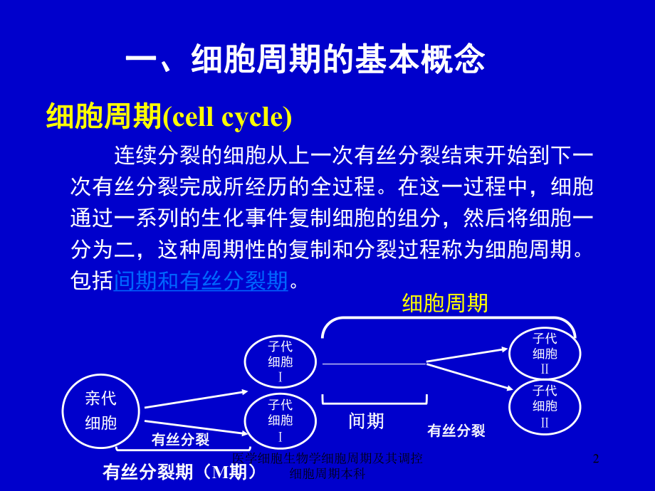 医学细胞生物学细胞周期及其调控细胞周期本科课件.ppt_第2页