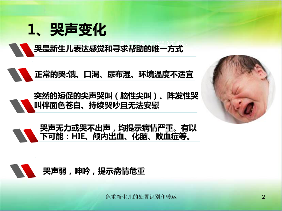 危重新生儿的处置识别和转运培训课件.ppt_第2页