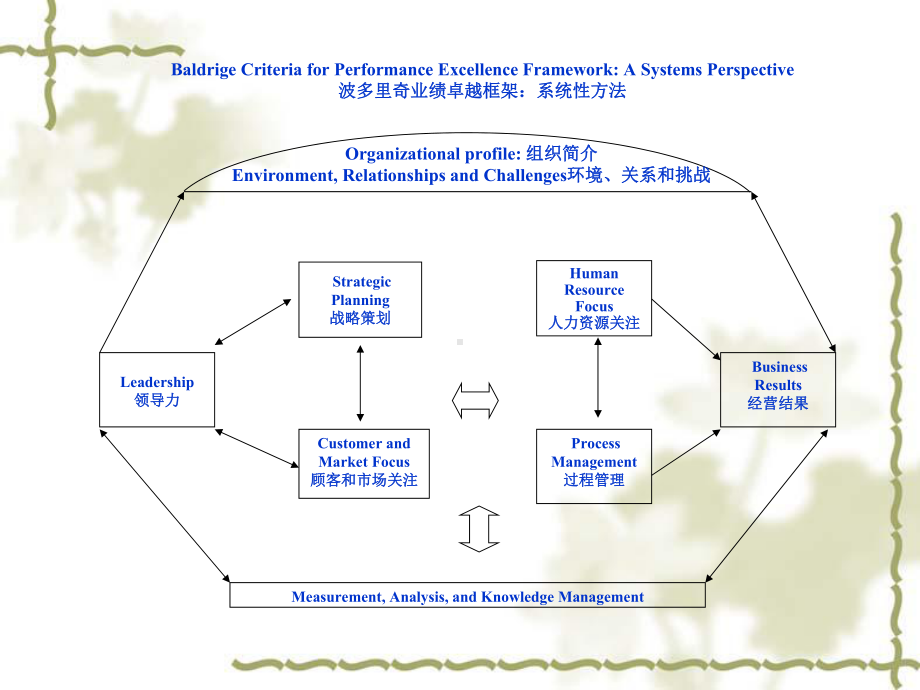 医疗行业业绩卓越奖及波多里奇奖课件2.ppt_第2页