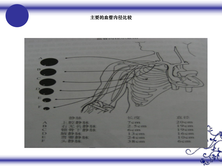 危重病人血管保护课件.ppt_第3页