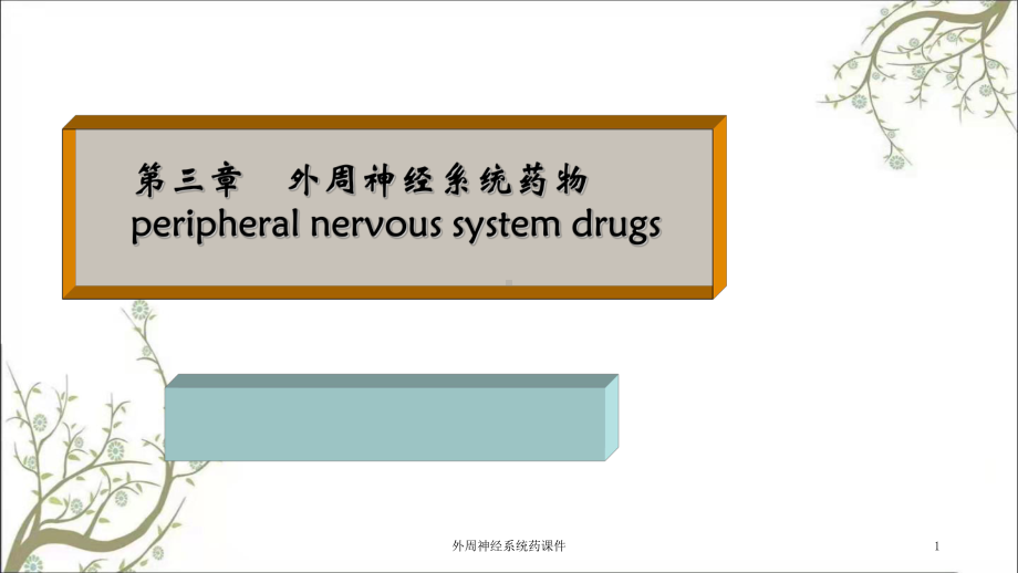 外周神经系统药课件.ppt_第1页