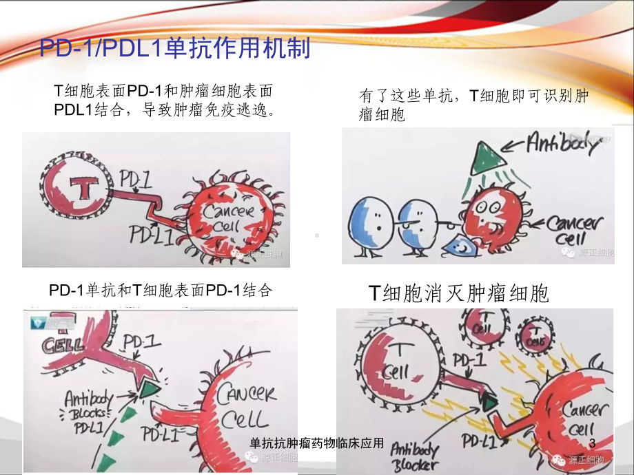 单抗抗肿瘤药物临床应用培训课件.ppt_第3页