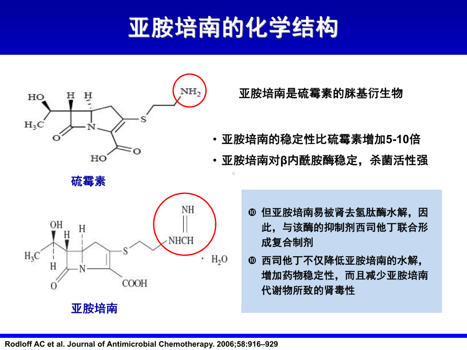 亚胺培南肾保护作用及中枢安全课件2.ppt_第2页