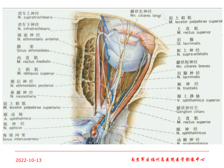 医学眼眶分区和常见疾病诊疗培训课件.ppt_第2页