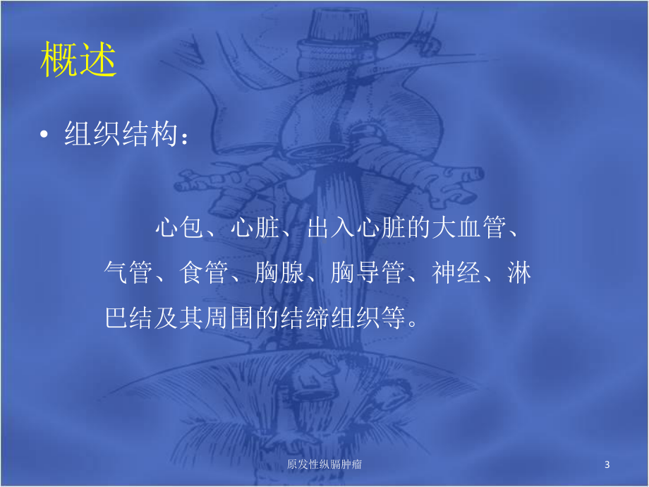 原发性纵膈肿瘤课件.ppt_第3页