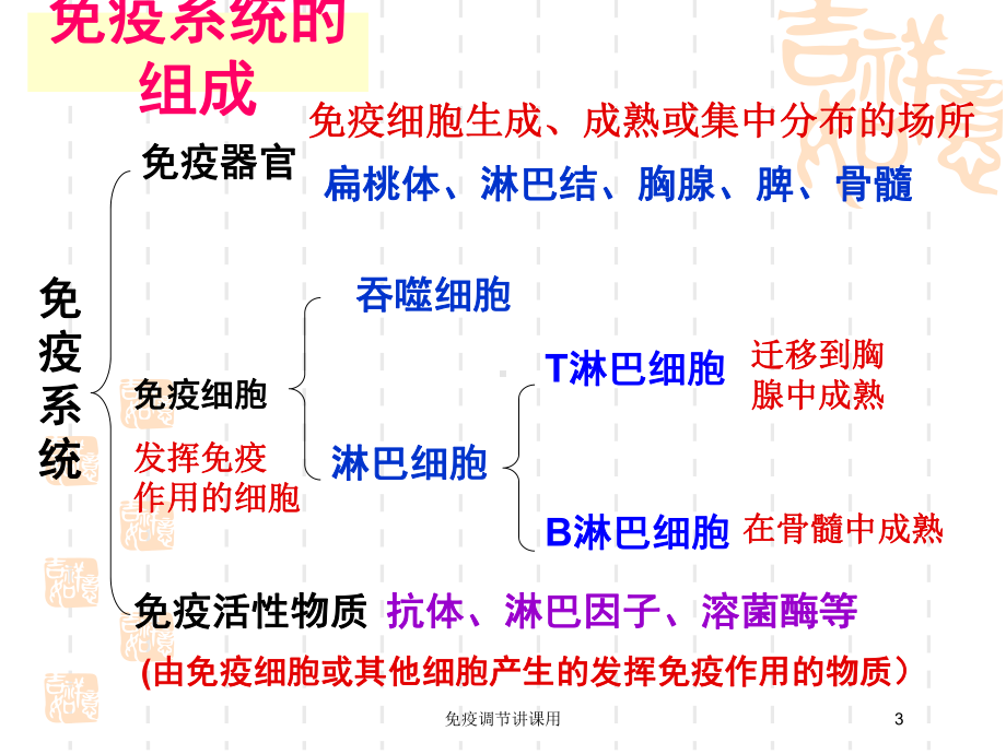 免疫调节讲课用培训课件.ppt_第3页