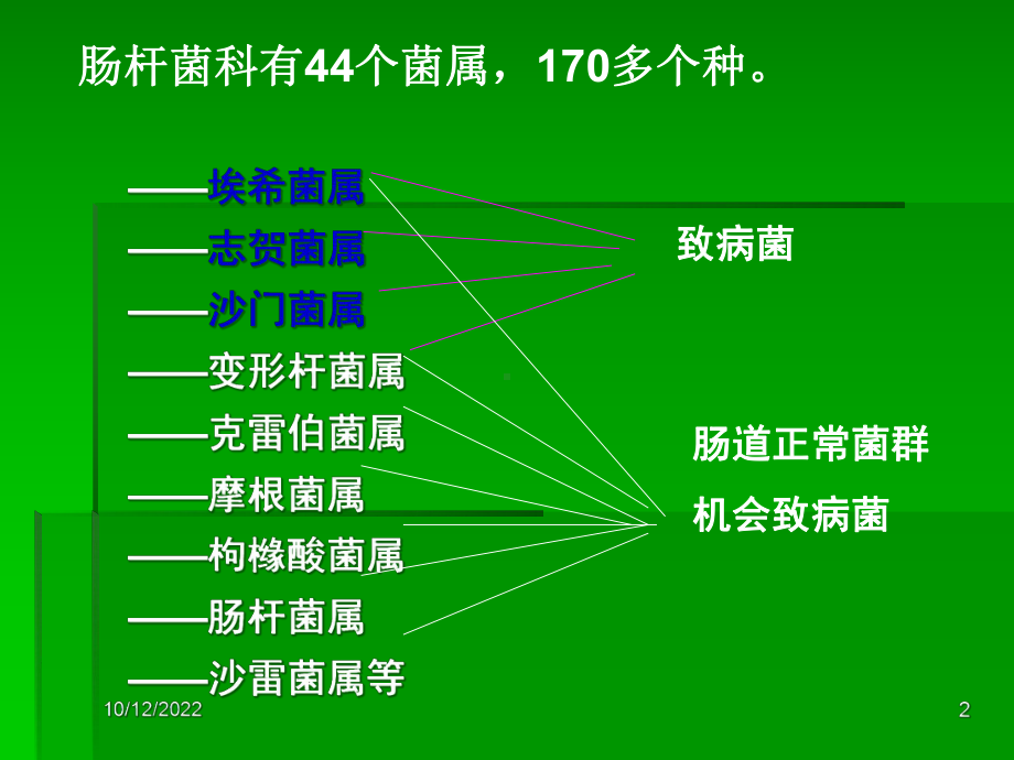 基础微生物肠杆菌科细菌课件.ppt_第2页