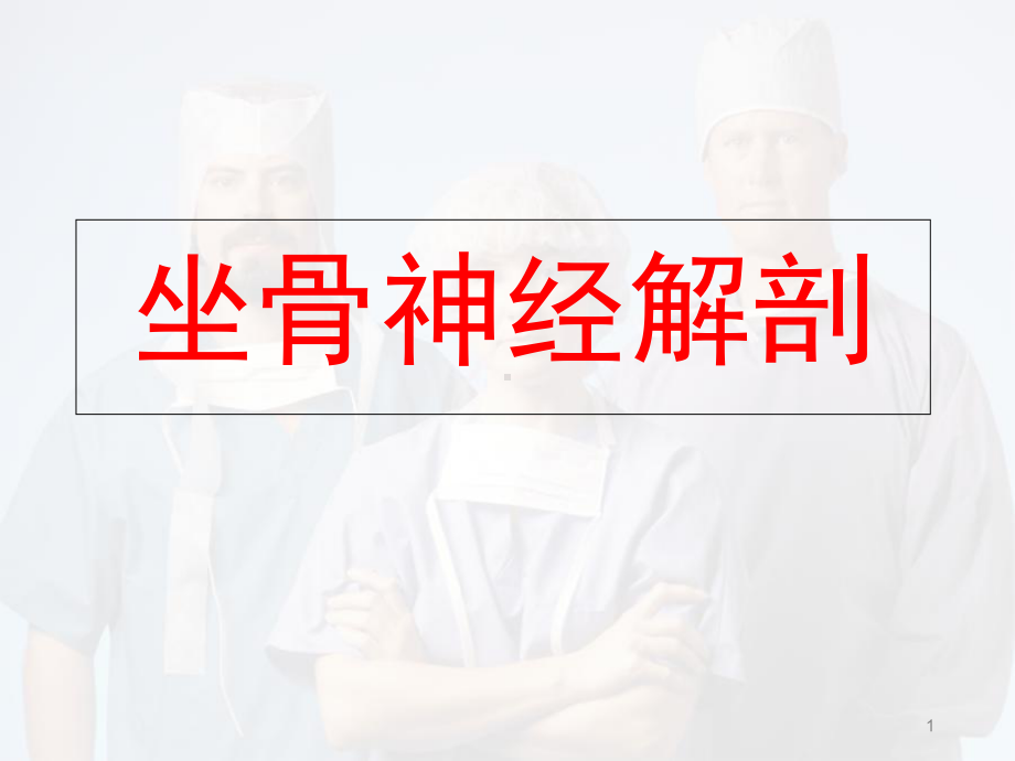 坐骨神经解剖教学课件.ppt_第1页