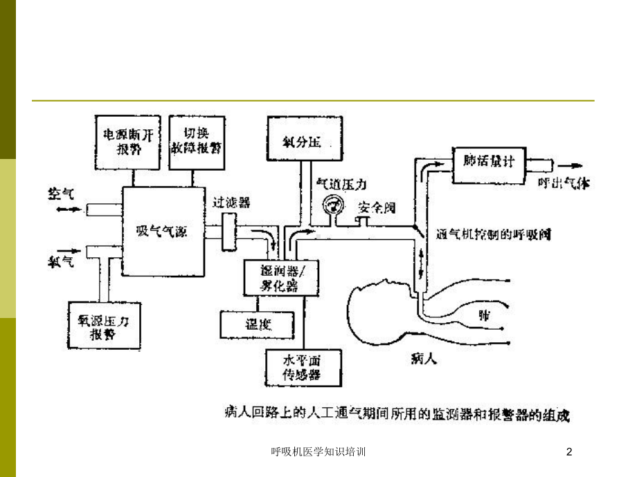 呼吸机医学知识培训培训课件.ppt_第2页